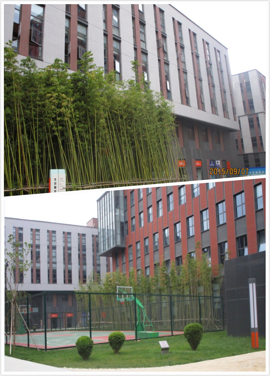 pt2015_09_10_10_39_54.jpg pt2015_09_10_10_39_54.jpg